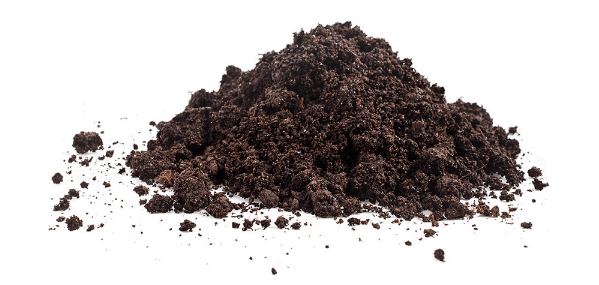 Soil